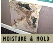 Florida Construction Moisture and Mold Issues