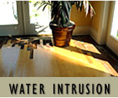 Florida Construction Water Intrusion Issues