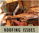 Florida Construction Roofing Issues